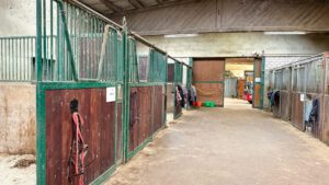 Stallgasse mit Pferdeboxen