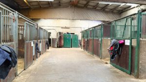 Stallgasse mit Pferdeboxen